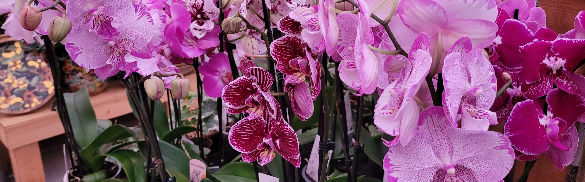 Vernieuwend en groot assortiment