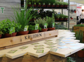 Eénjarigen, kuipplanten en kruiden