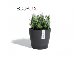 Ecopots